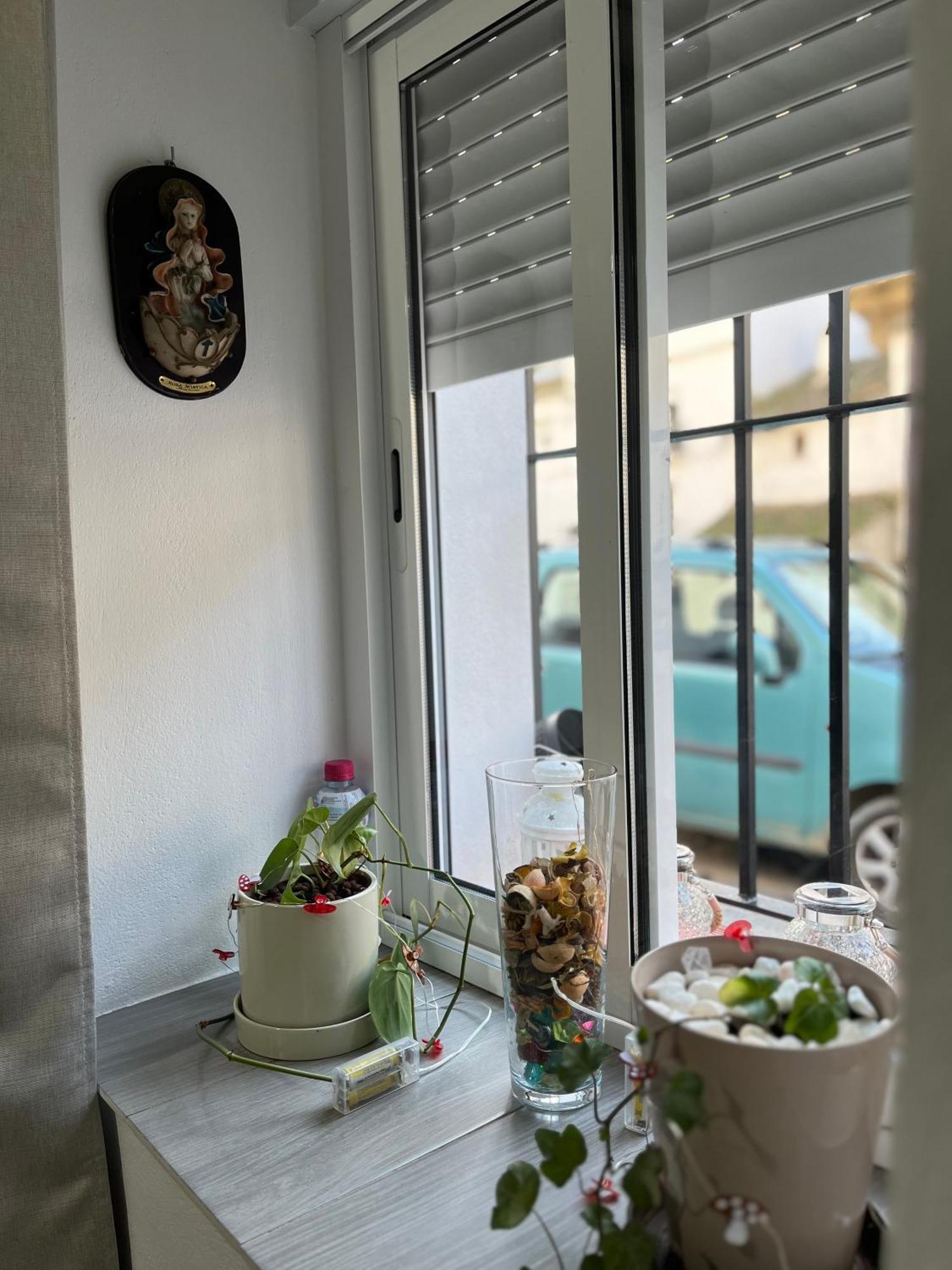 Apartament Casa Cueva Setenil De Las Bodegas Zewnętrze zdjęcie